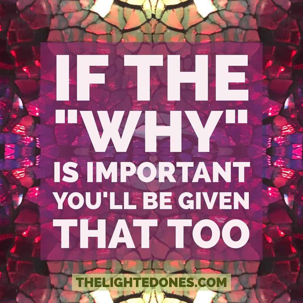 Featured image for “Is the Why Important?”