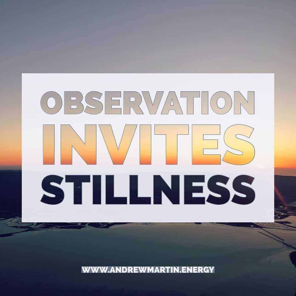 Featured image for “Observation Invites Stillness”