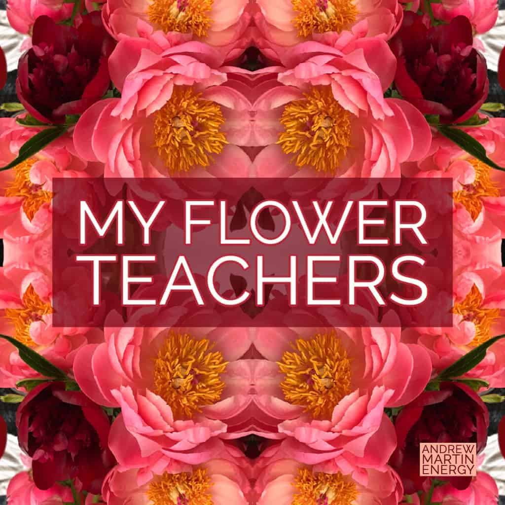 Featured image for “My Flower Teachers”