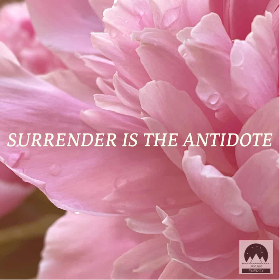 Featured image for “Surrender is The Antidote”